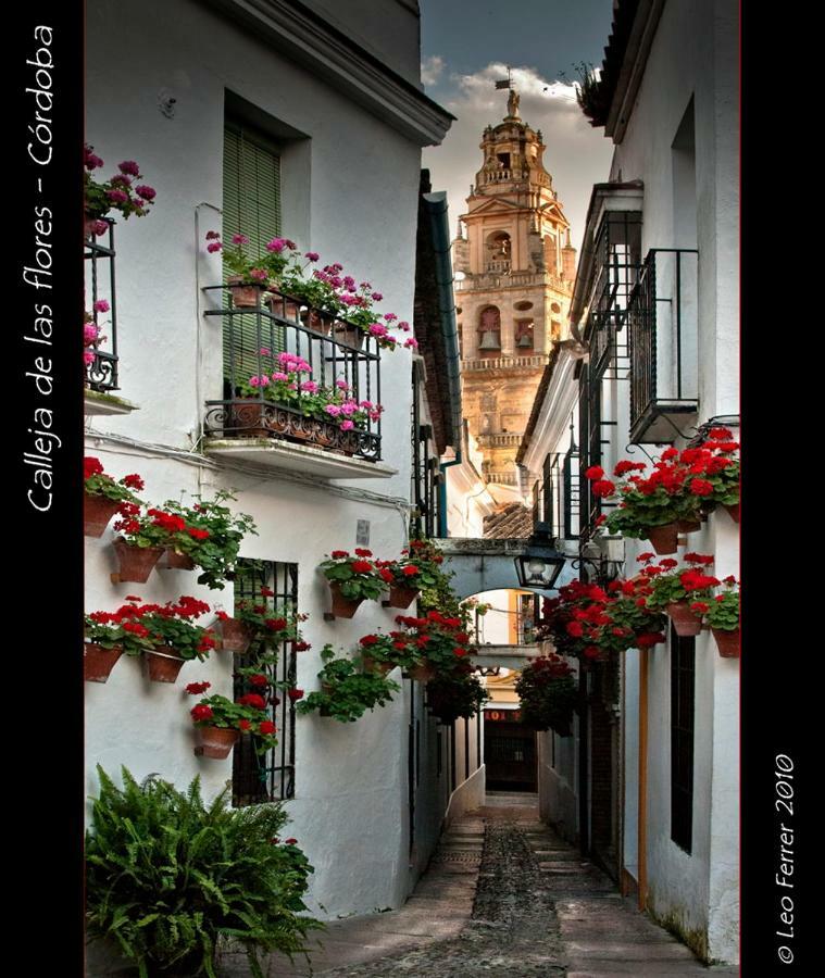 Luxury Viana Apartments Córdoba Eksteriør bilde